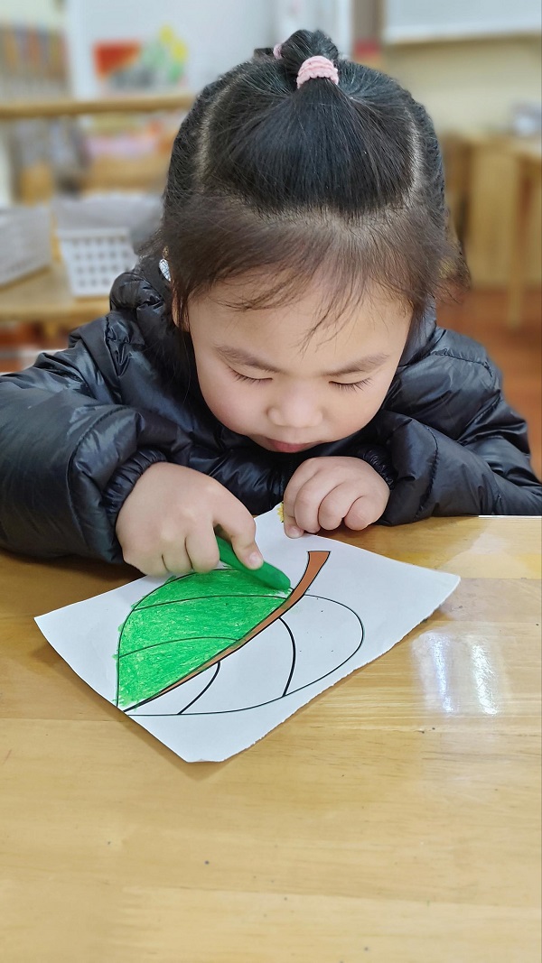 树叶