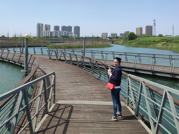 陈敏老师